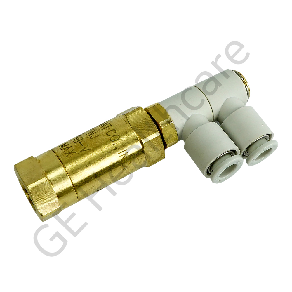 Check Valve with Filter and Elbow Push Connect Fittings Check Valve with Filter and Elbow Push Connect Fittings